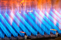Newsham gas fired boilers